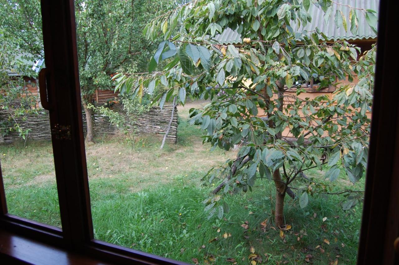 Zelenyi Rai Διαμέρισμα Svityaz' Εξωτερικό φωτογραφία